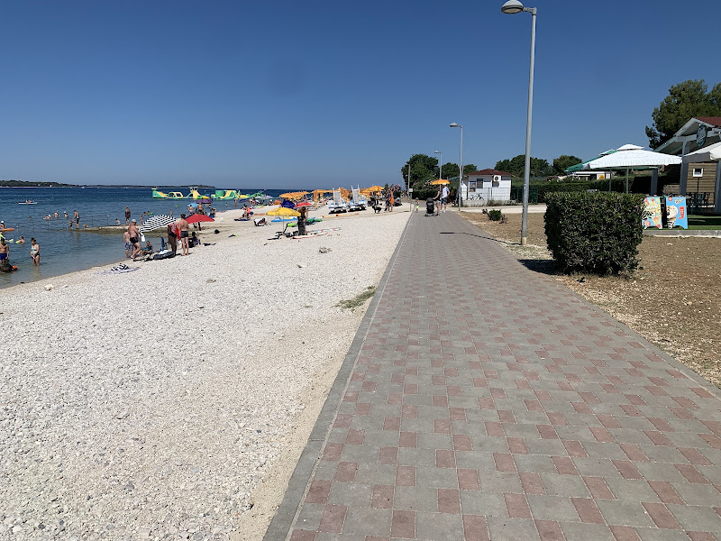 Dog Beach Fazana