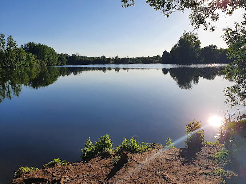 Hunde-Badestelle am Surfsee