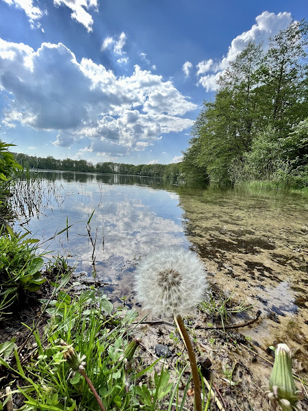 Naaktstrand Engelgaarde