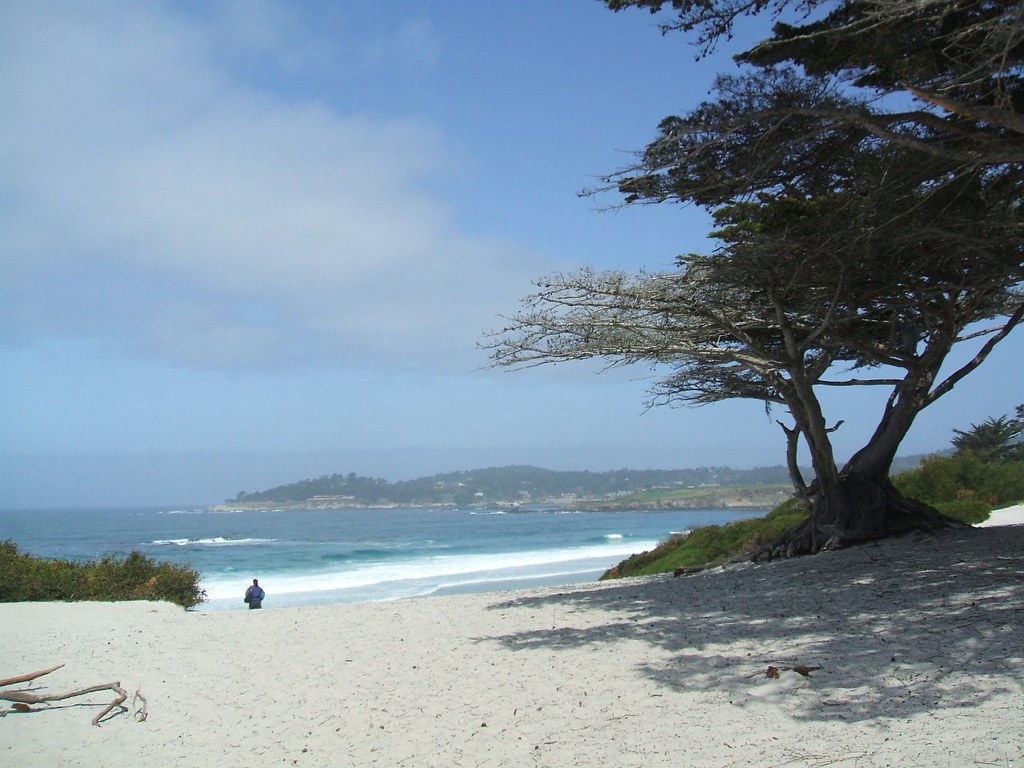 Carmel Beach