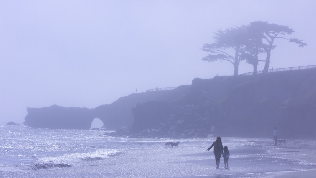 Mitchell's Cove Beach