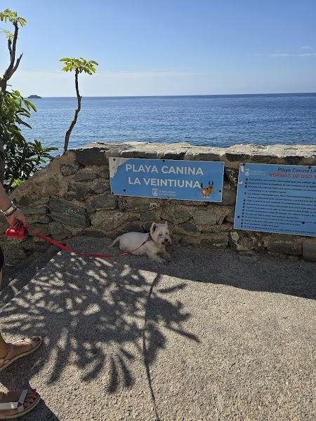 La Veintiuna