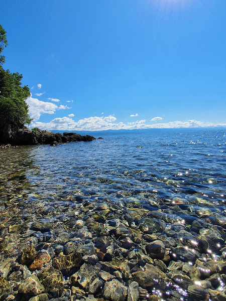 Dog beach