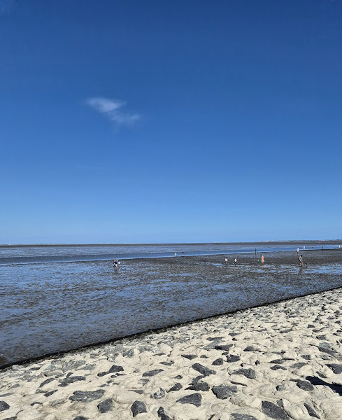 Hundestrand