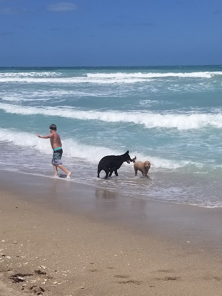 Walton Rocks Beach
