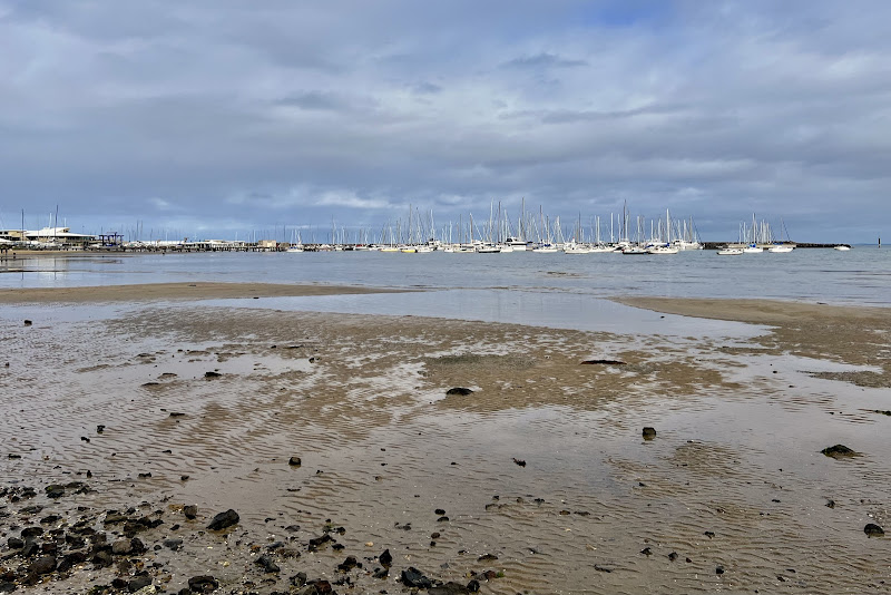 Sandringham Harbour Beach