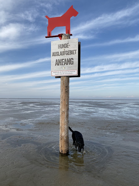 Hundestrand