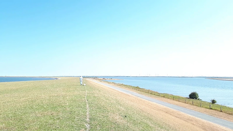 Hundestrand