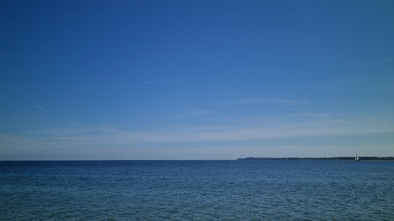 Hundestrand