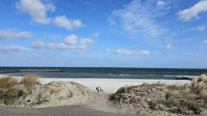 Hundestrand Schönberger Strand