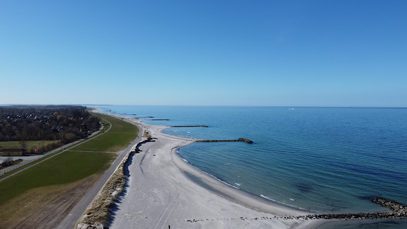 Hundestrand Brasilien