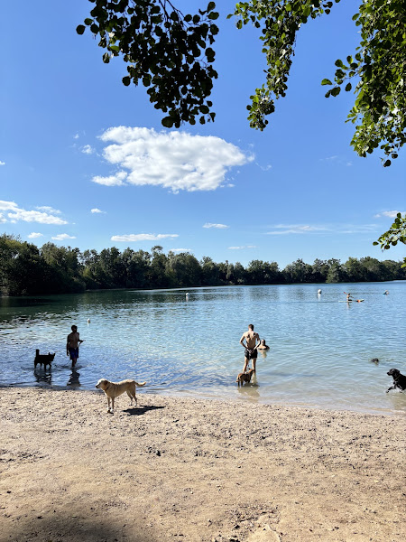 Hundebereich