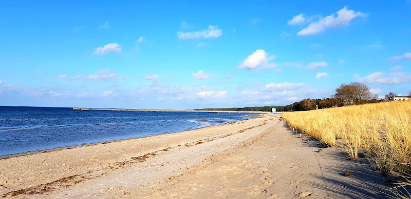 Hunde-Strand