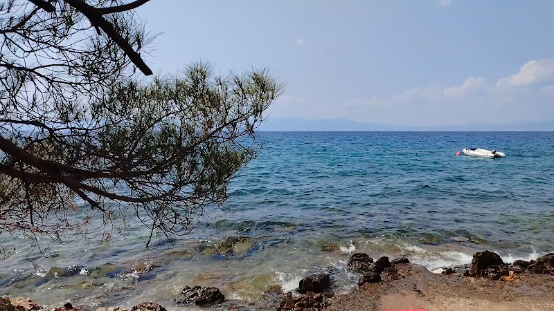 Dogfriendly Beach