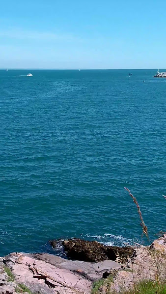 Churston Cove