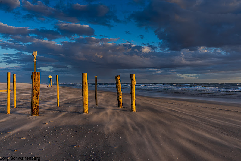 Hundestrand