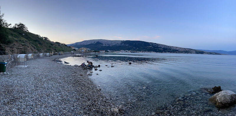Dog beach
