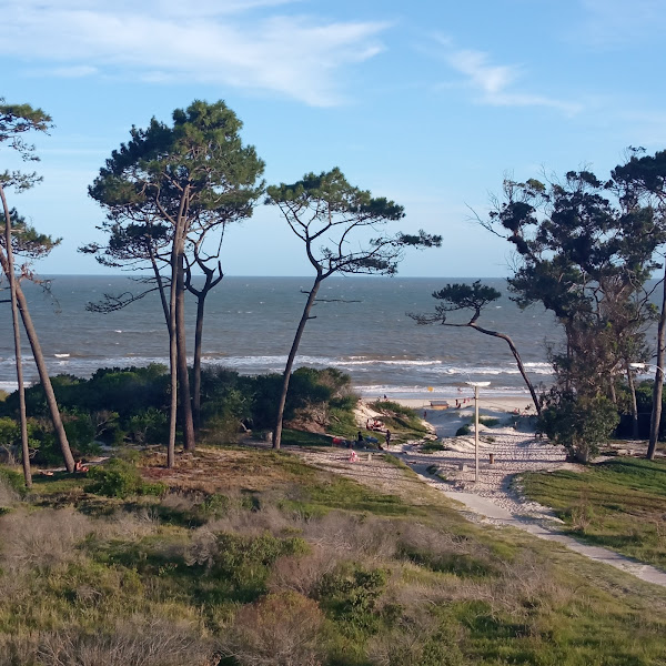 Playa del Fortín