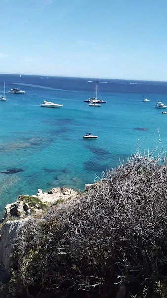 Plage des Douanes
