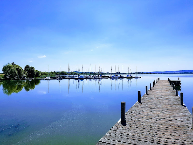 Hundestrand