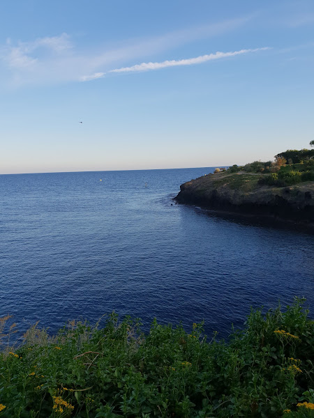 Plage Pointe des Douaniers (Est)
