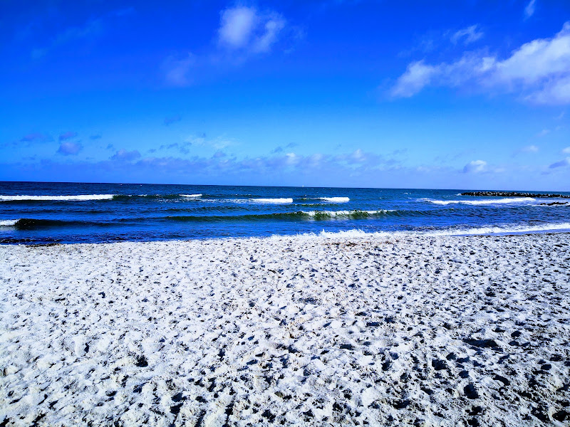 Hundestrand Kalifornien