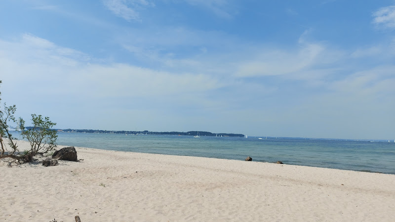 Hundestrand
