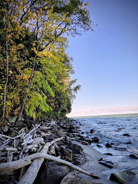 K-9 Coastline