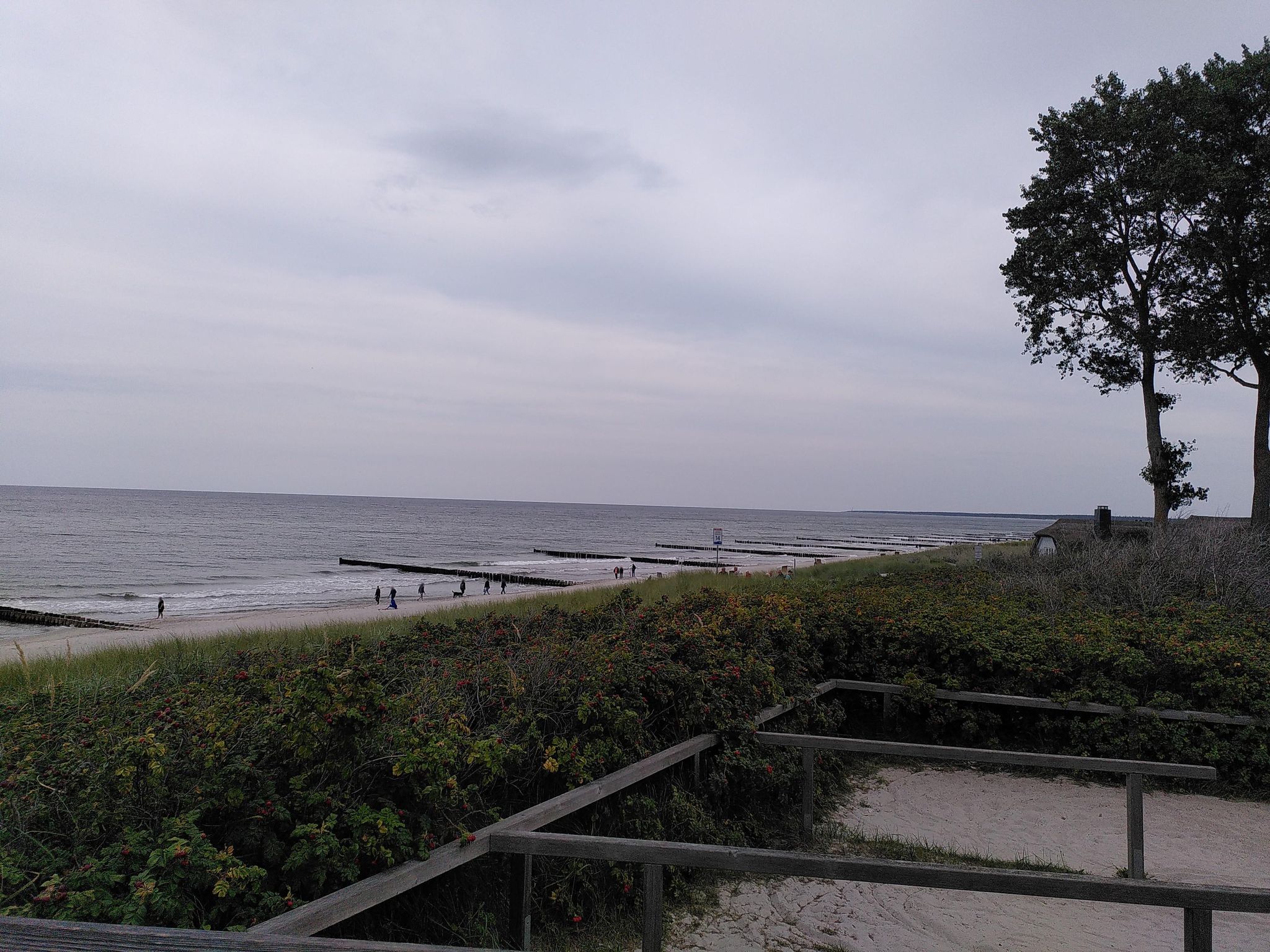 Plage DE-N