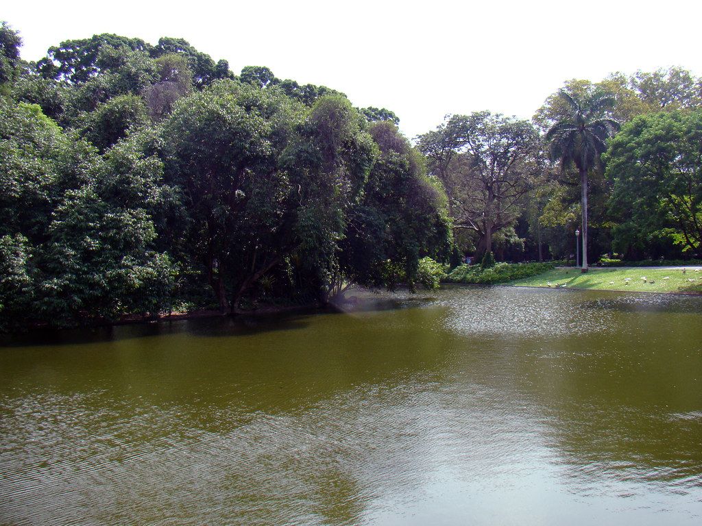 Lagoon
