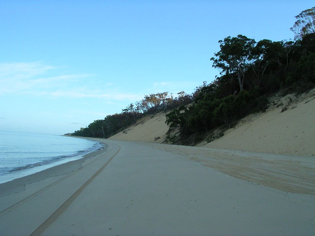 Vegetation and Sand - Moreton Bay
