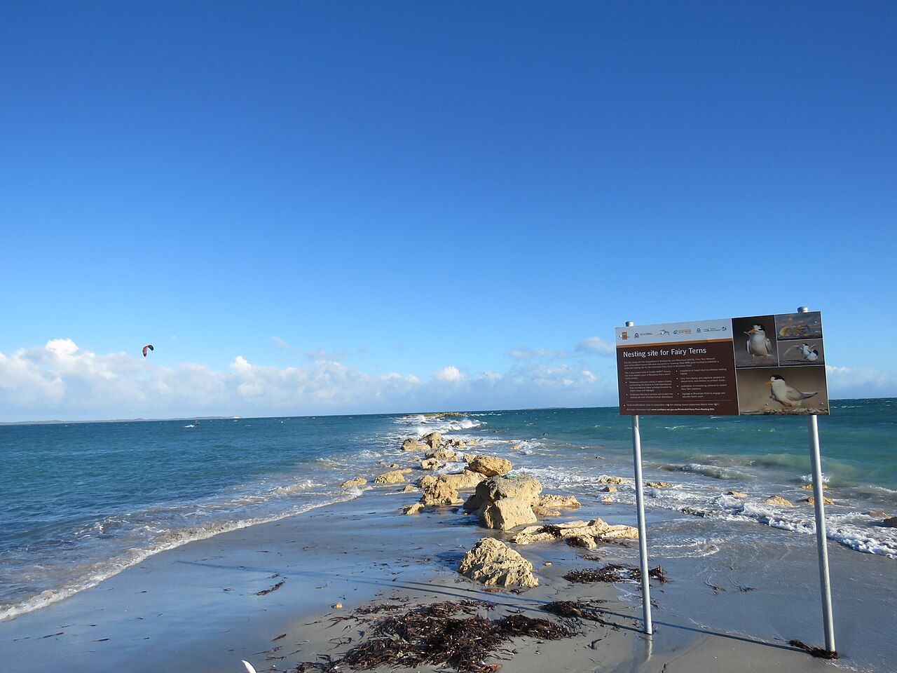 Woodman Spit, June 2022