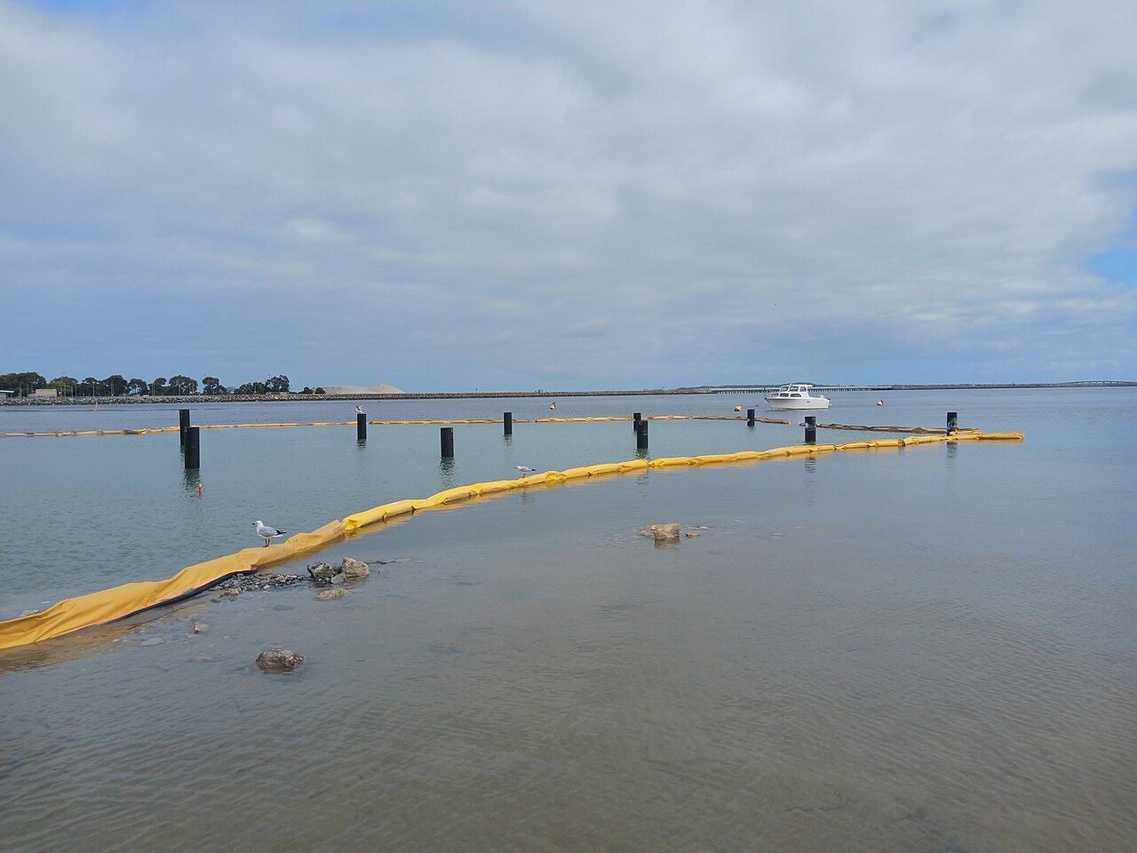 Jetty under construction at Mangles Bay Fishing Club, December 2023