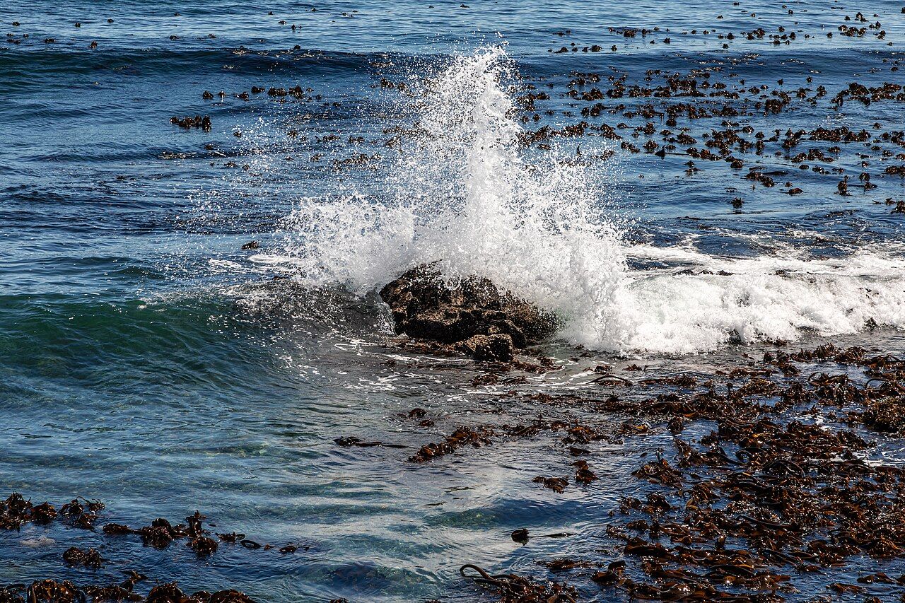 Cape Town (ZA), Sea Point Promenade -- 2024 --