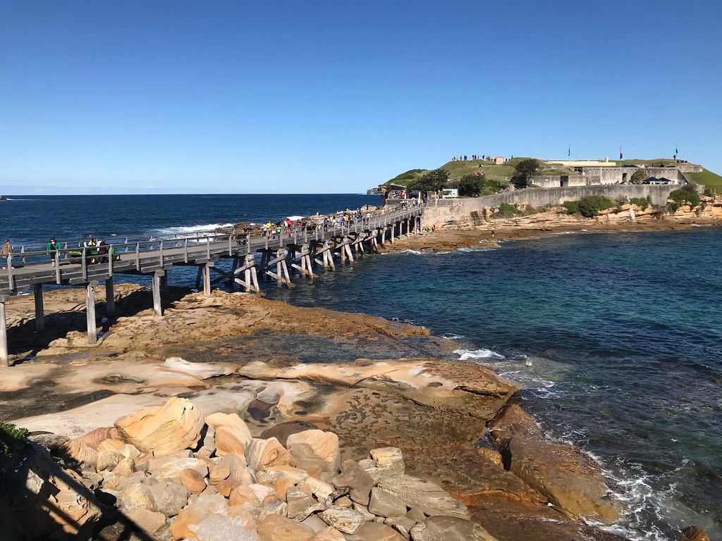 L117 La Perouse - Flickr - Rmonty119