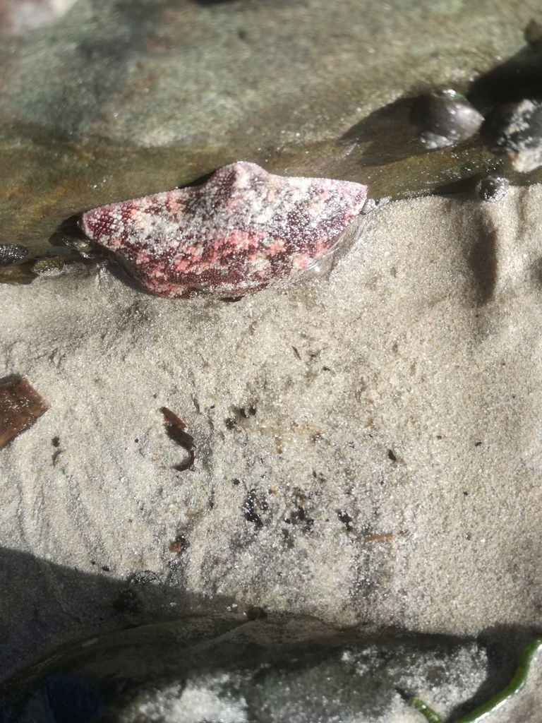 ZA beach