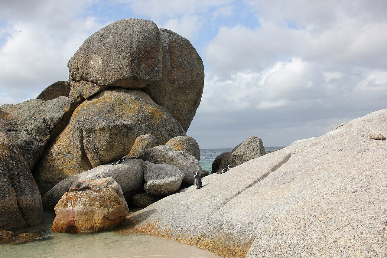 Laika ac Boulders Beach (8403752659)