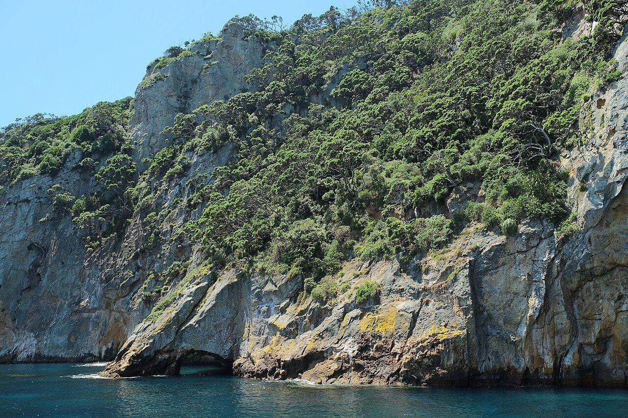 Maroro Bay at Aorangi Island