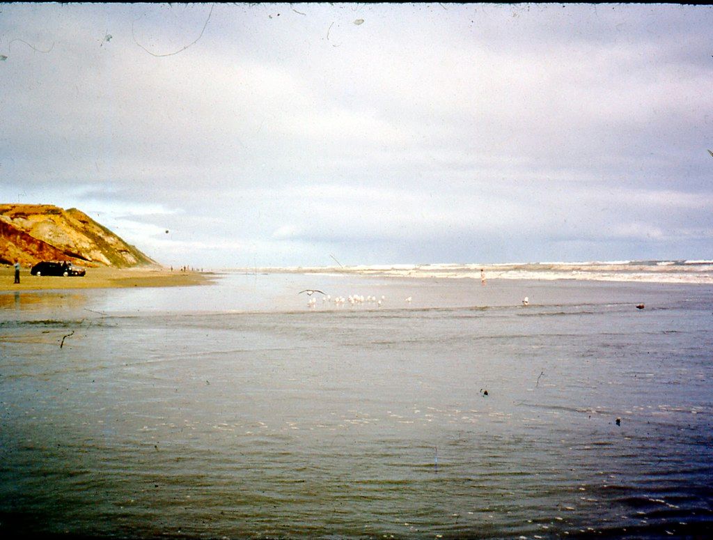 West Coast Beach (Auckland)