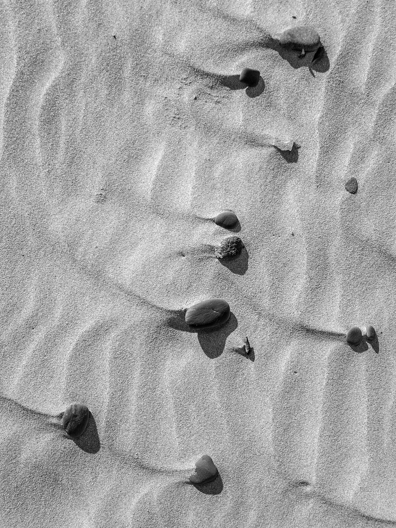 Apollo Bay (AU), Beach -- 2019 --