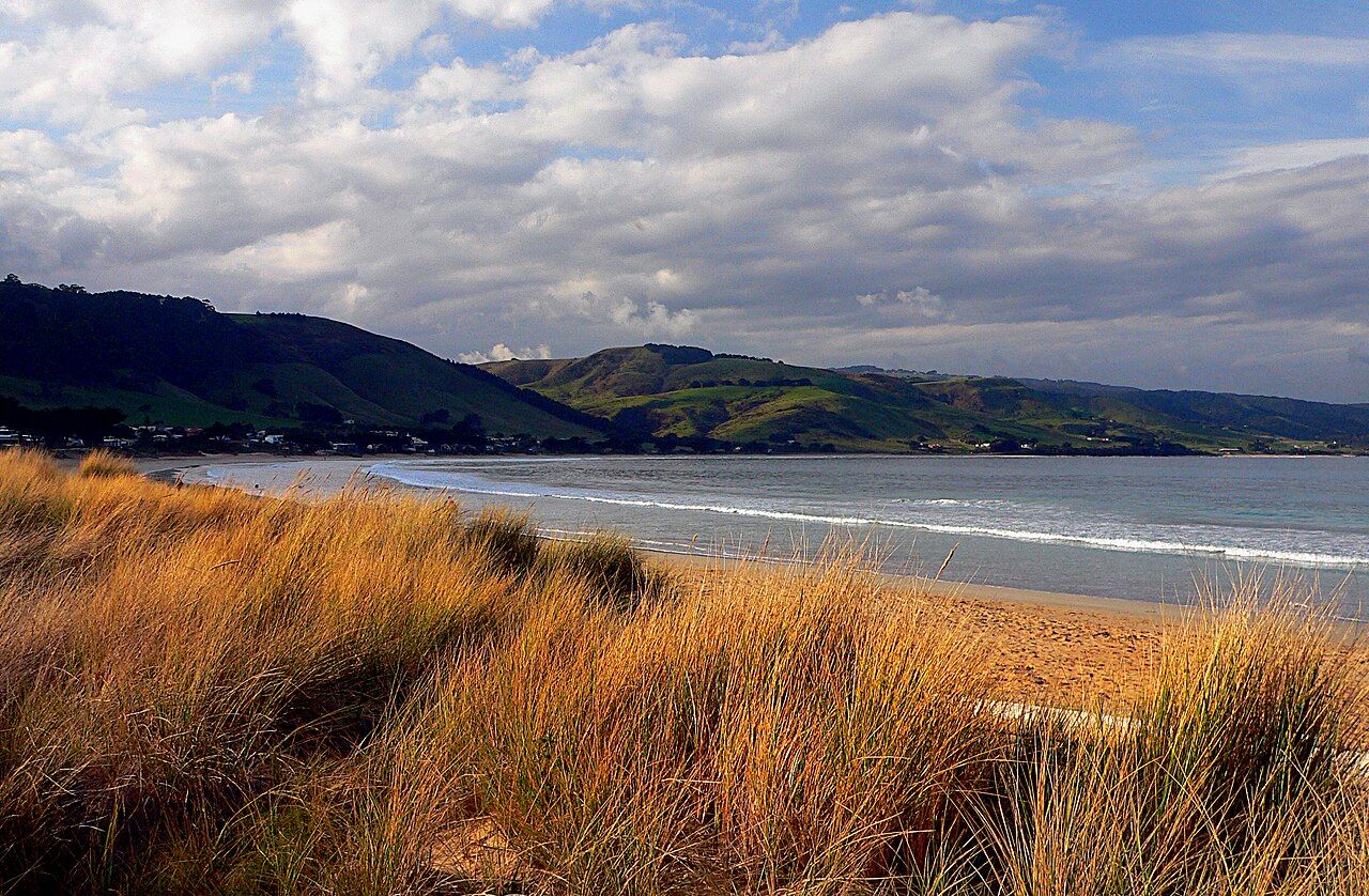 Apollo Bay Beach (8653745971)
