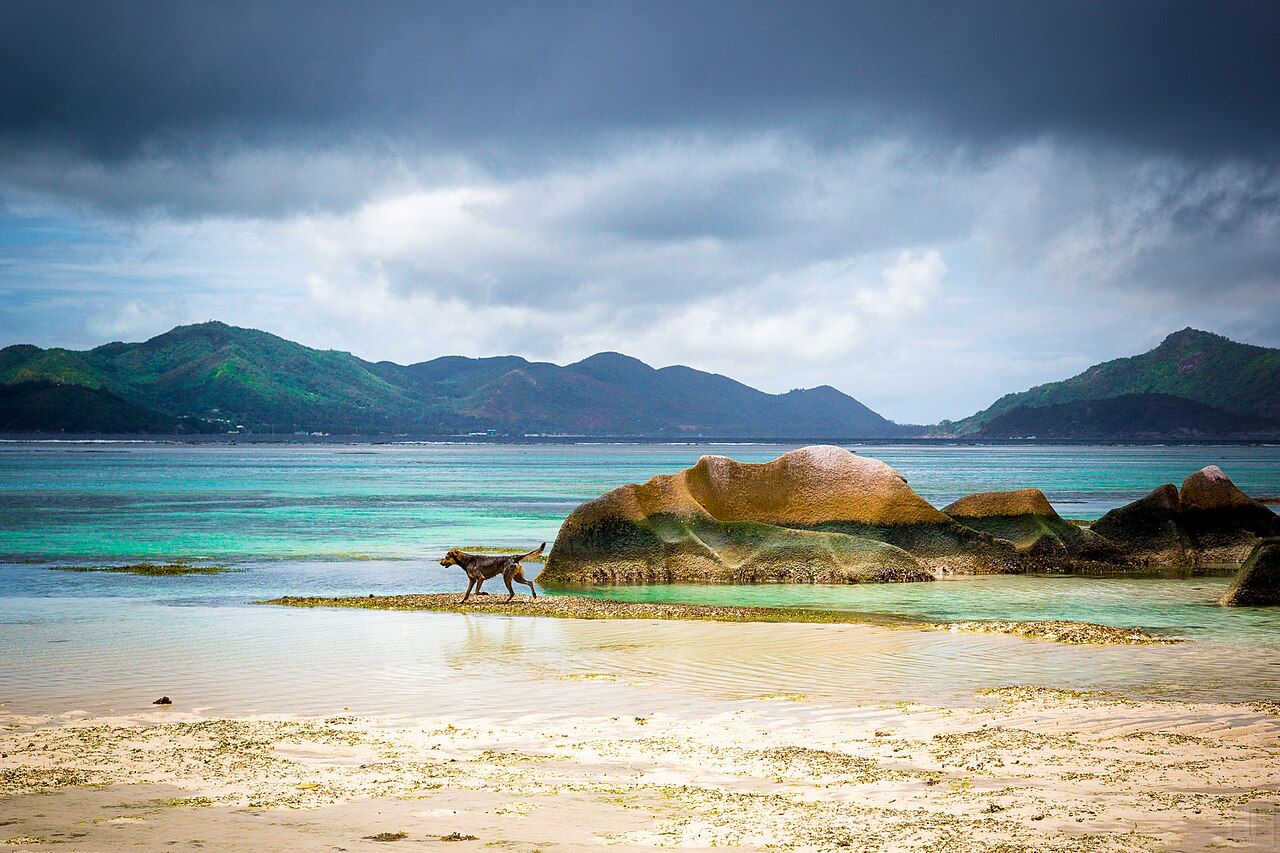 Seychelles Dreams 3 (8184500092)