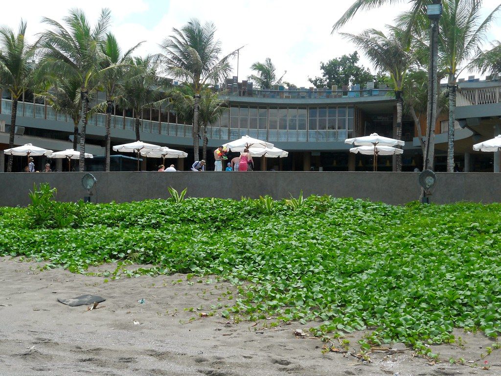 Potato Head Beach Club