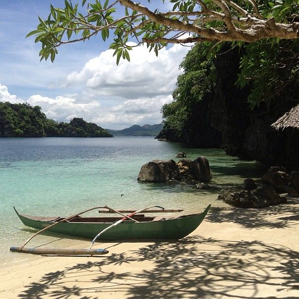 Want to see one of the mangroves in  Philippine island? LET'S GO and VISIT CYC Beach in Coron! Do SHARE the best of Philippine islands :) #govisitphil