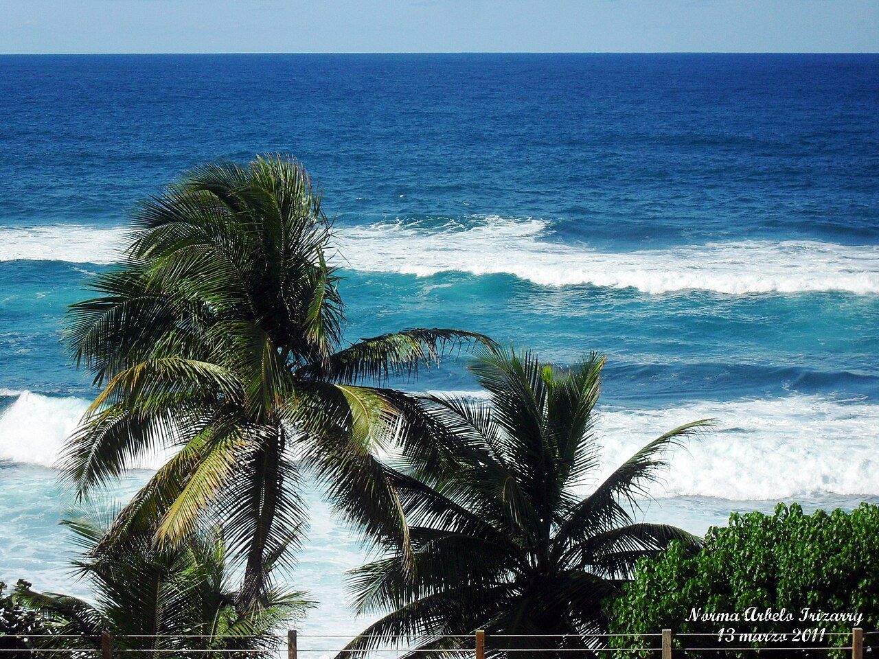Manatí beach
