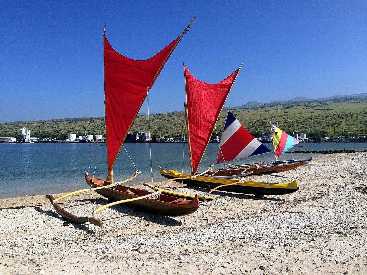 Canoes line the beach. (24937cd5-1dd8-b71b-0b29-bb69995c288c)