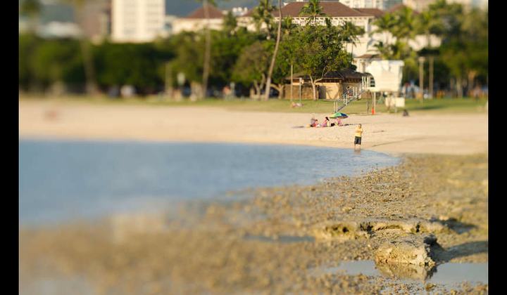 Ala Moana in the late afternoon.