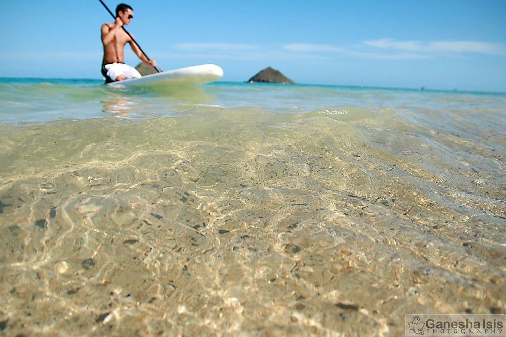 2/365 Vishnu Paddle Boarding