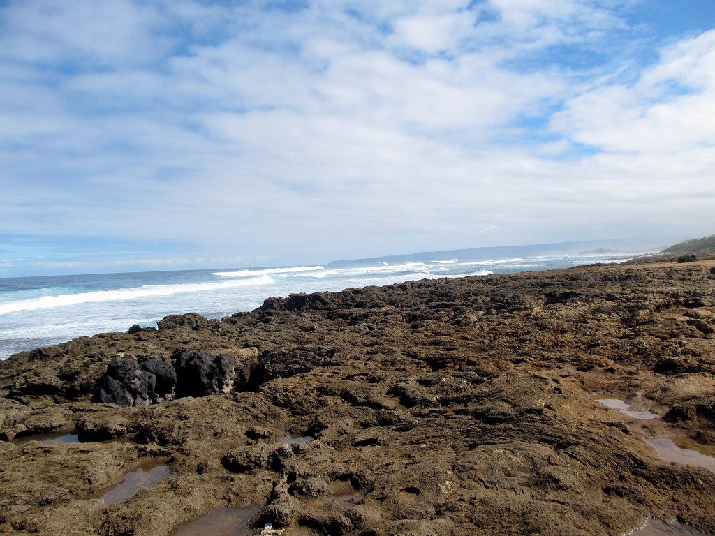 Rocky Shore