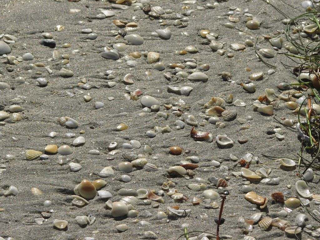 Fun at the Beach I